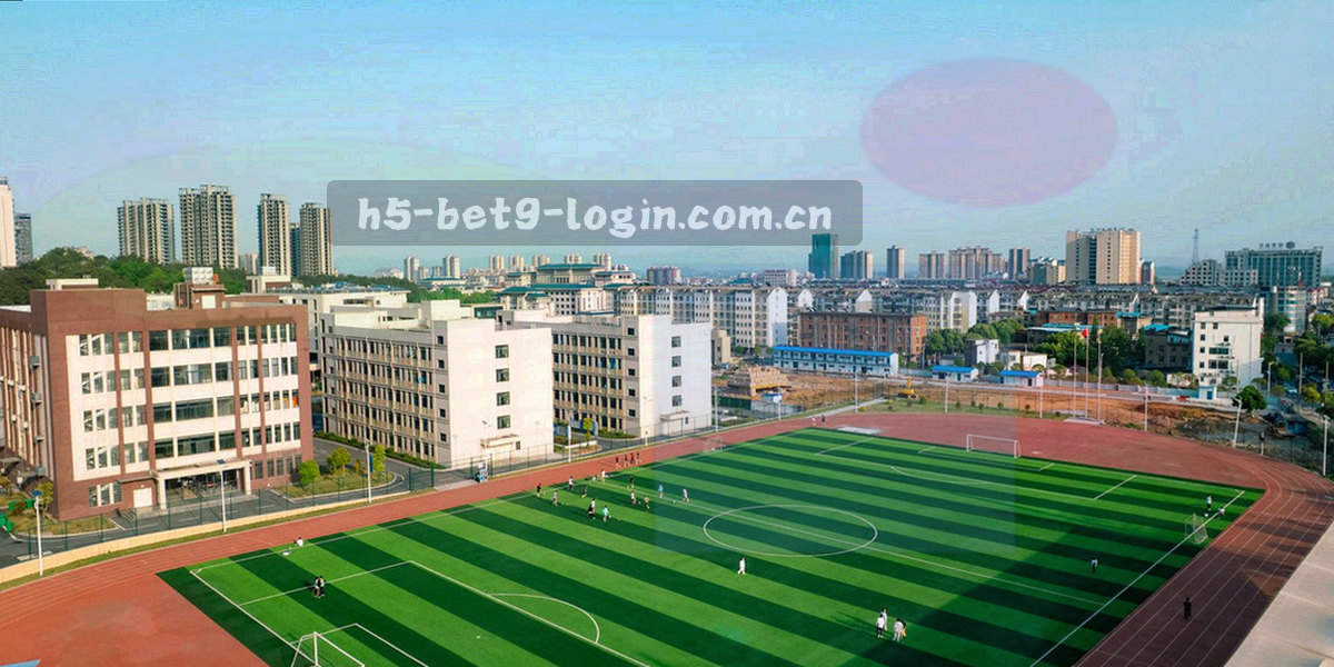 横向排列的日期刻度带，其中两天用高亮圆点标出为固定更新日